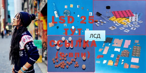 ГАЛЛЮЦИНОГЕННЫЕ ГРИБЫ Дмитриев