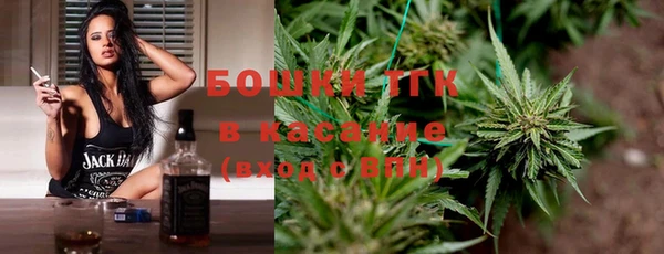 гидра Верея