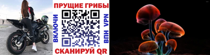 купить наркоту  kraken   Псилоцибиновые грибы прущие грибы  Семёнов 